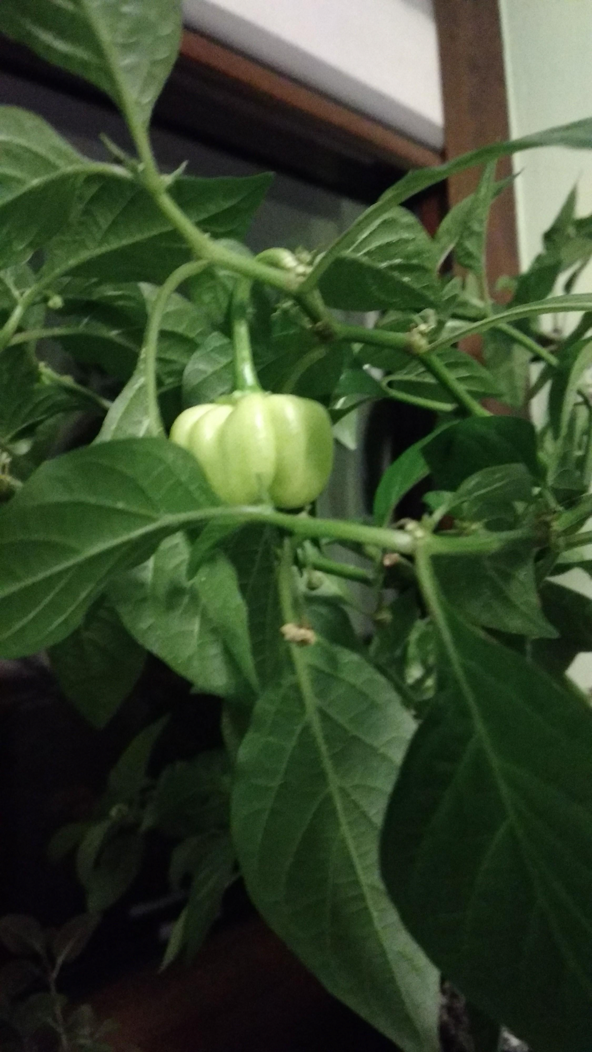 81866764-cef1-4c48-8c2d-3000a4365e51