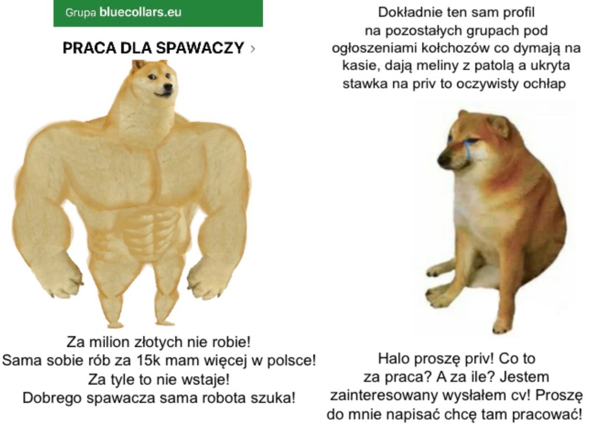 4936f320-d198-4e98-9d8b-fd05f2555052