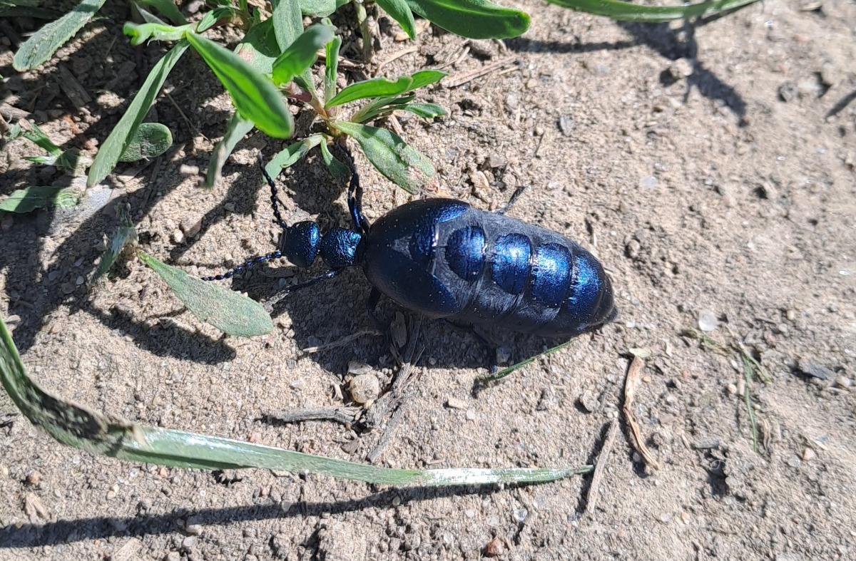 28ba9050-e470-4347-8473-c83100b7b0bd