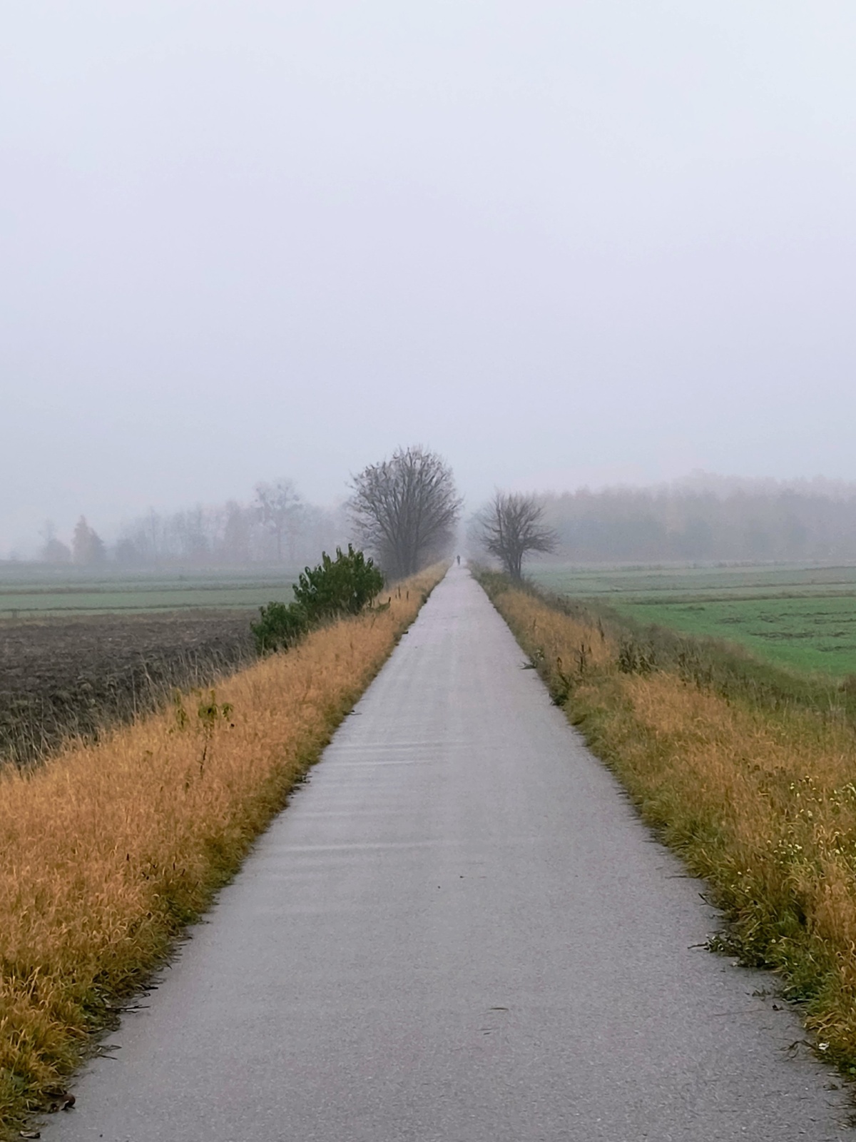 4c0e58e5-4506-47ec-b42b-6d630566dfea