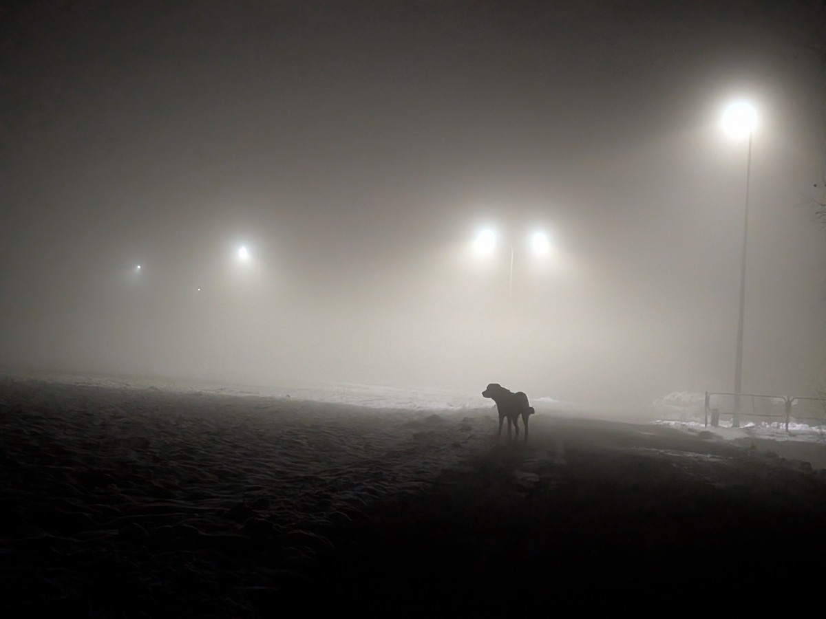 28eaff4e-027b-4e8b-ad69-4d921fbe9860