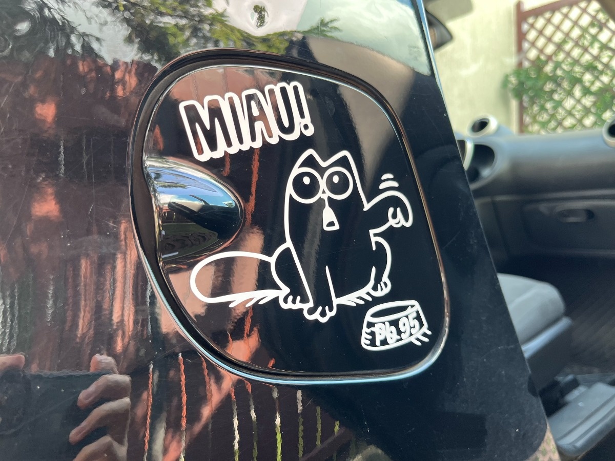 5f800c92-6267-4bb3-a464-73d7420da08d