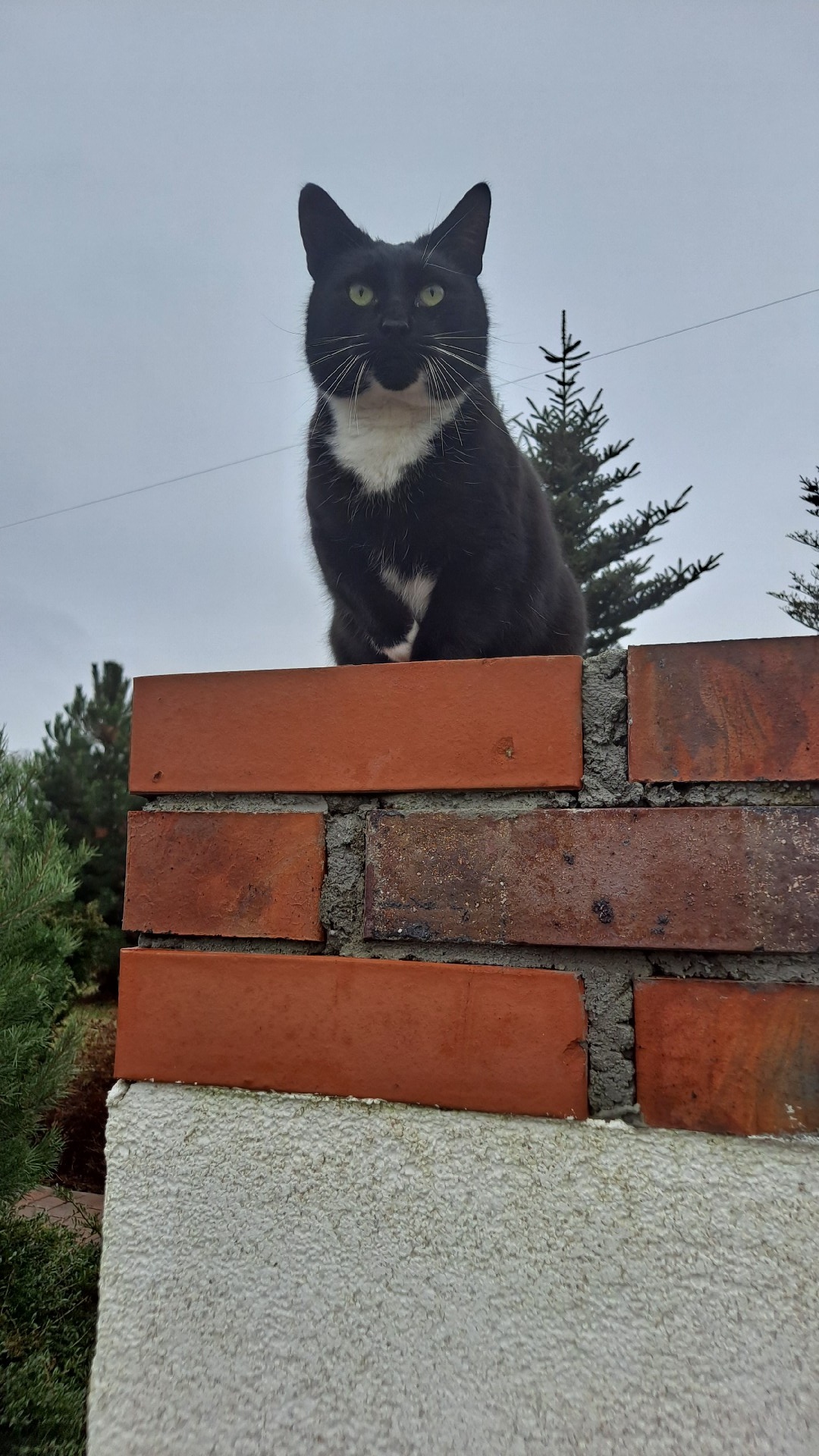 62bfecbf-ef22-4824-ba1f-1c79f4ea5264