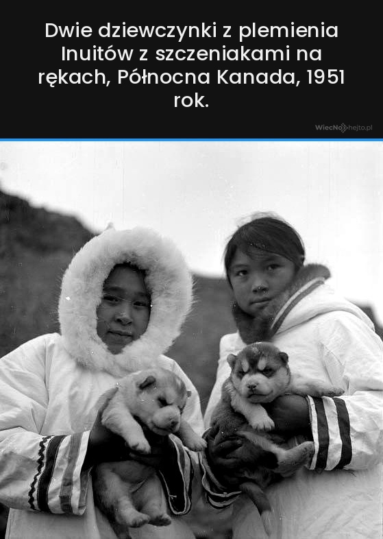 90d41a18-1bc4-4e88-a949-4f41ae45e85a