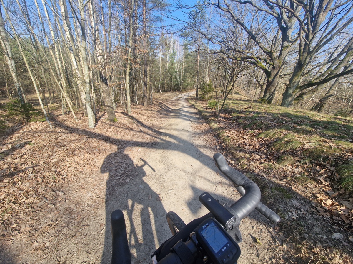 e1cef963-d587-42d2-866b-cee2823dad2f