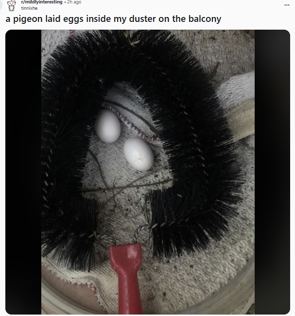 0e2957d2-1644-40e6-8fbf-ad156db14a5b