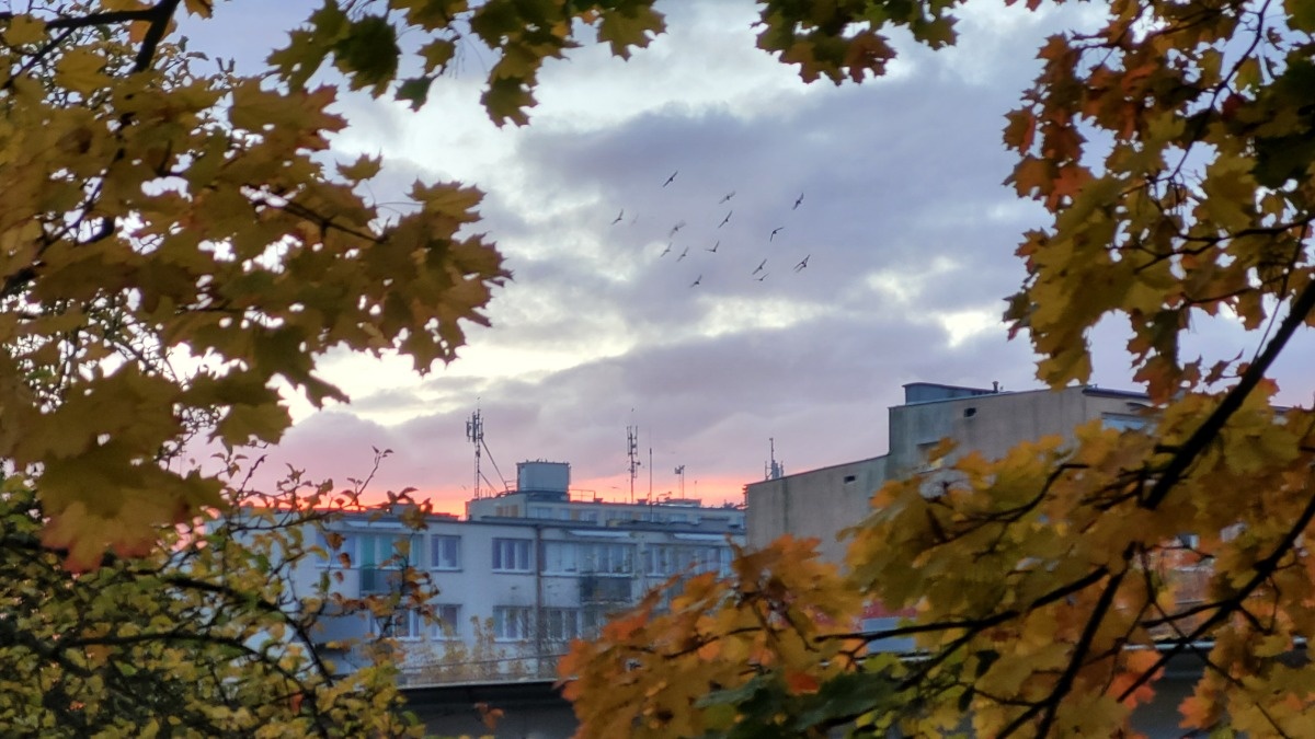 393847e1-95aa-4768-88a2-d1a45c3ccaa7