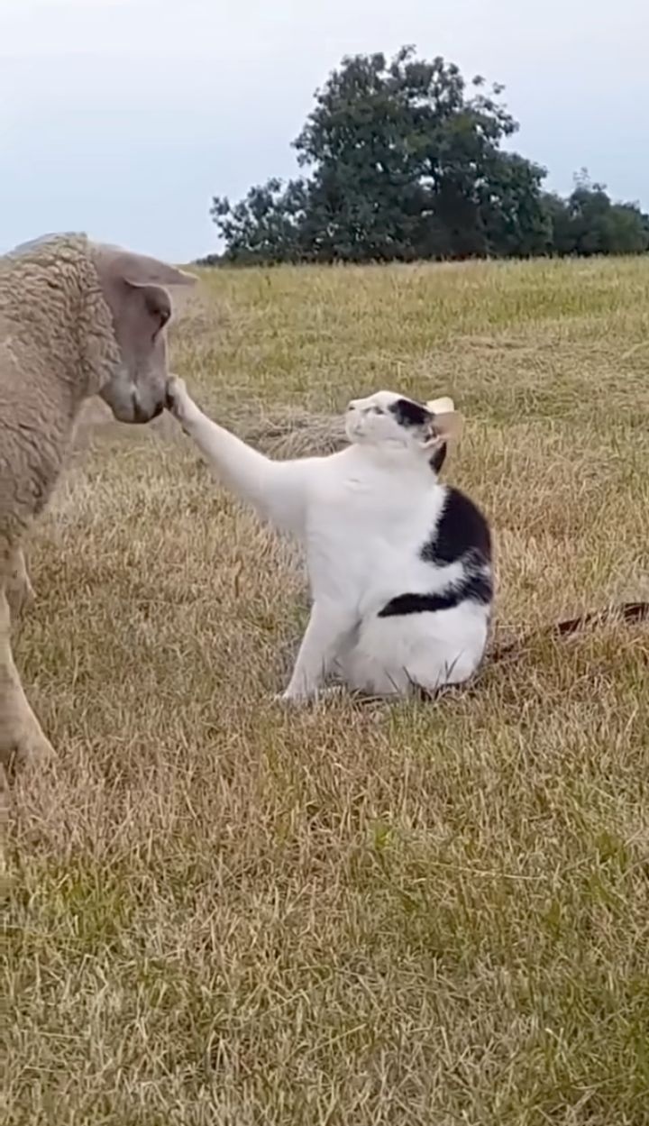 18f727ea-7f31-49a7-98c6-ed67fe7ea479