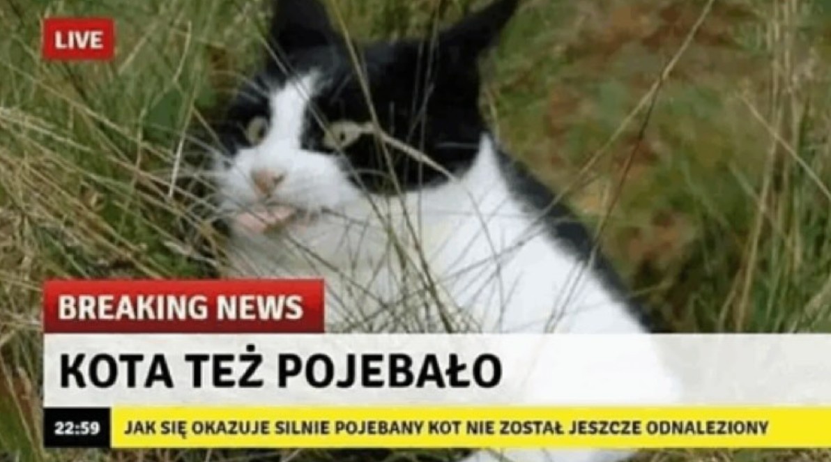 81f60fc0-09ff-4670-88cd-25540ed81246