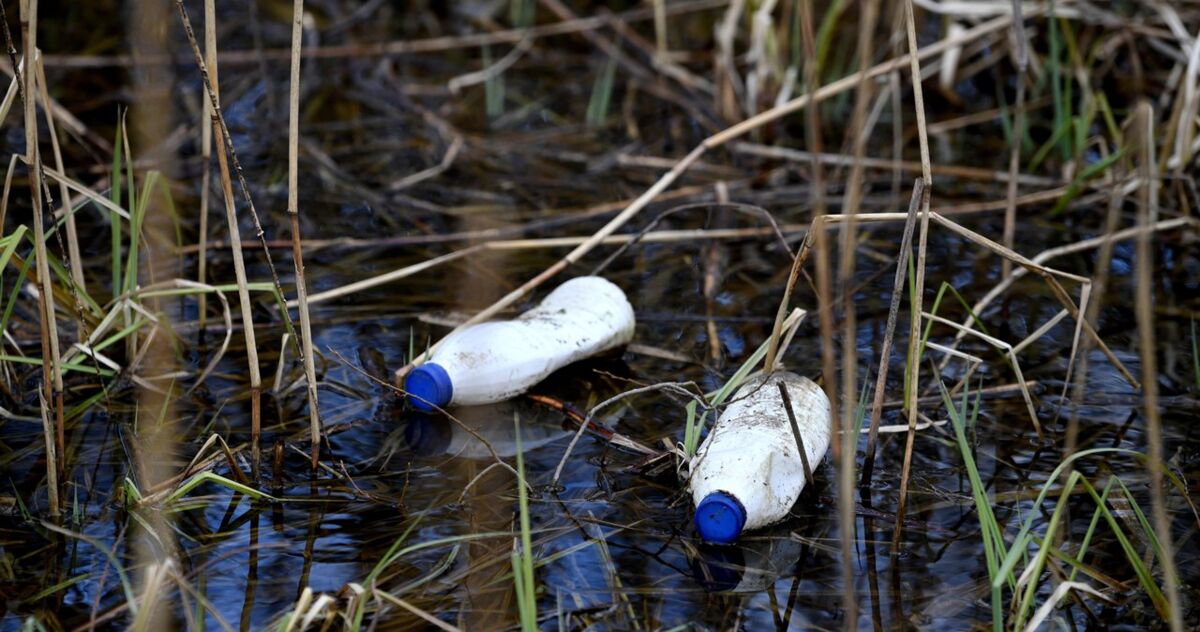 Paracetamol, kofeina, leki na cukrzycę. Zanieczyszczone rzeki zagrożeniem dla świata