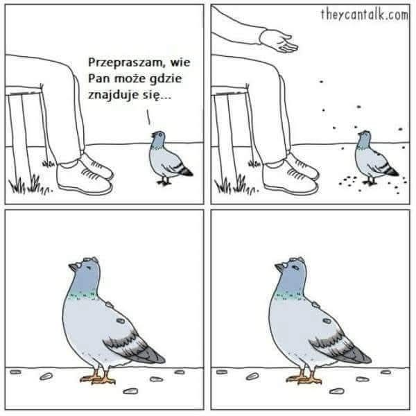 c4828fa7-145d-4dc8-8055-00f28deadbe8