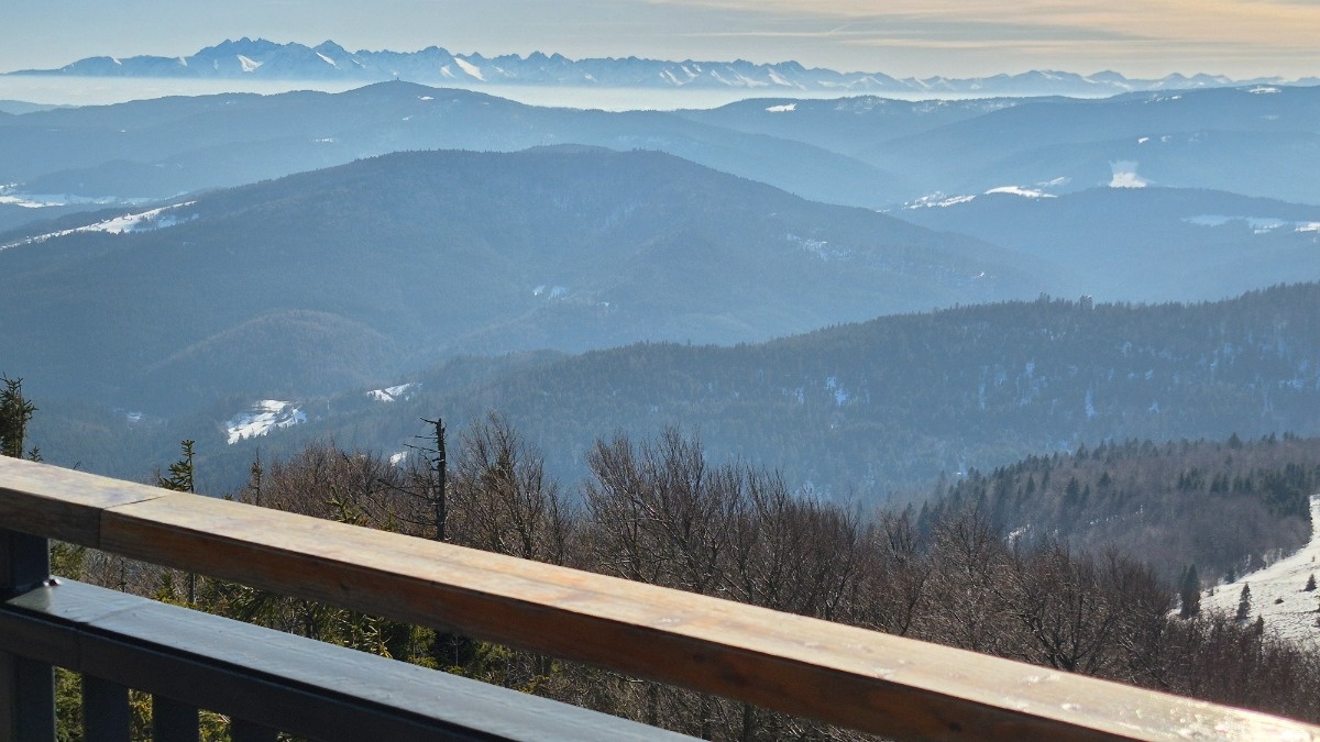 d9201da8-965a-4c20-aaa1-2343ec1315a0