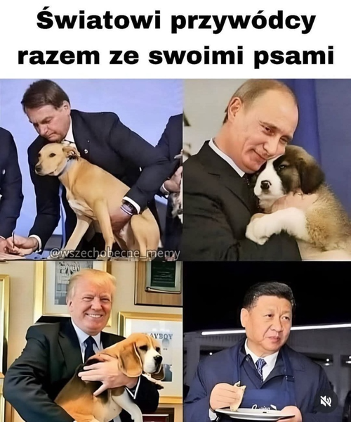 a779dc03-ed9f-4a4e-9e52-f931f6978b7e