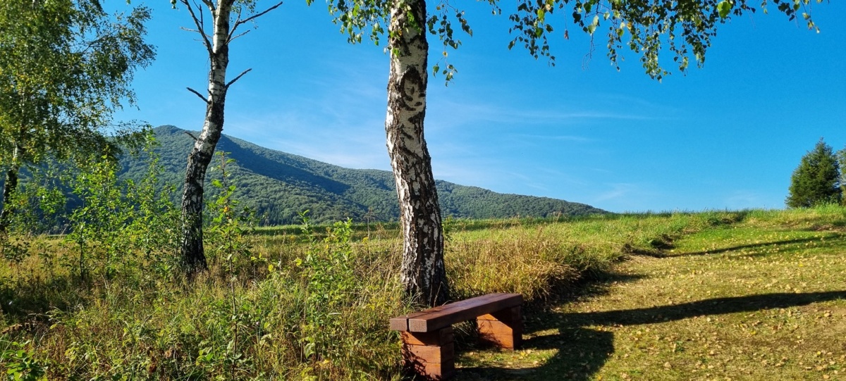 c671090d-4a85-4726-b7fb-c08d5e248a1d