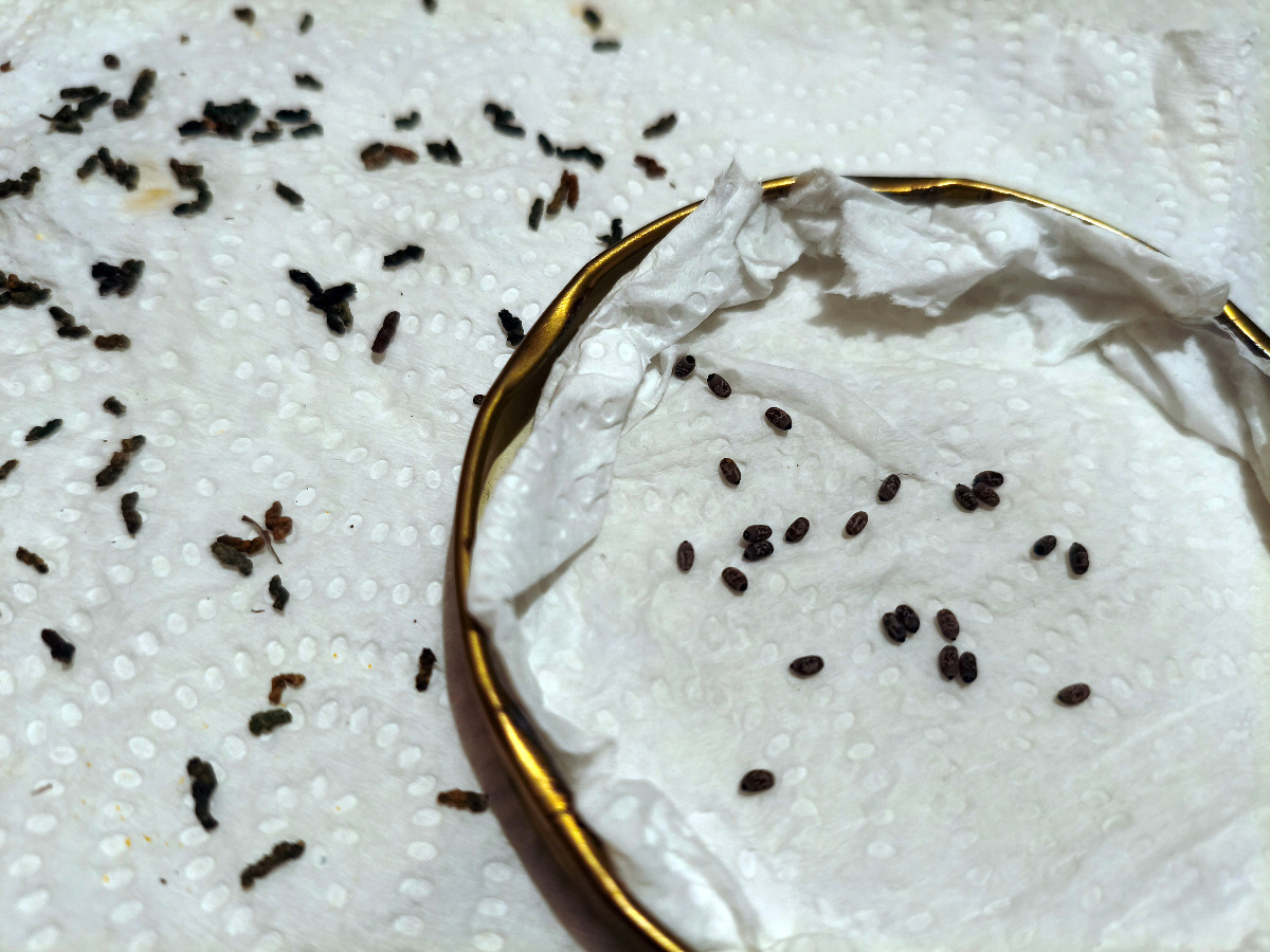 f7bdbf5a-a494-4cfe-80dd-90445a9a3188