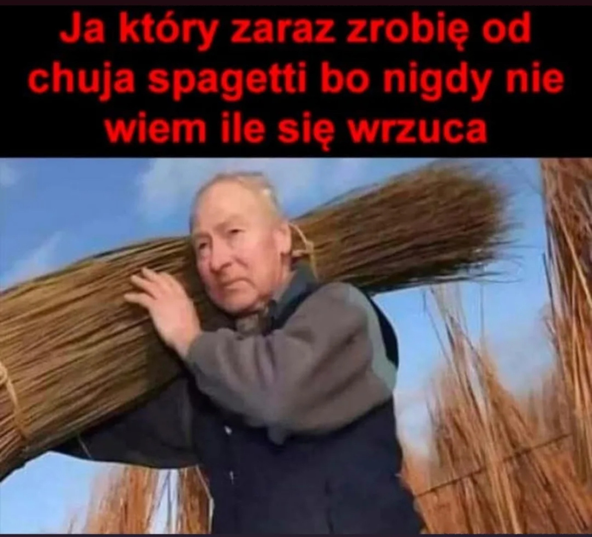 b0370426-01da-4d96-8535-4e971b23712e