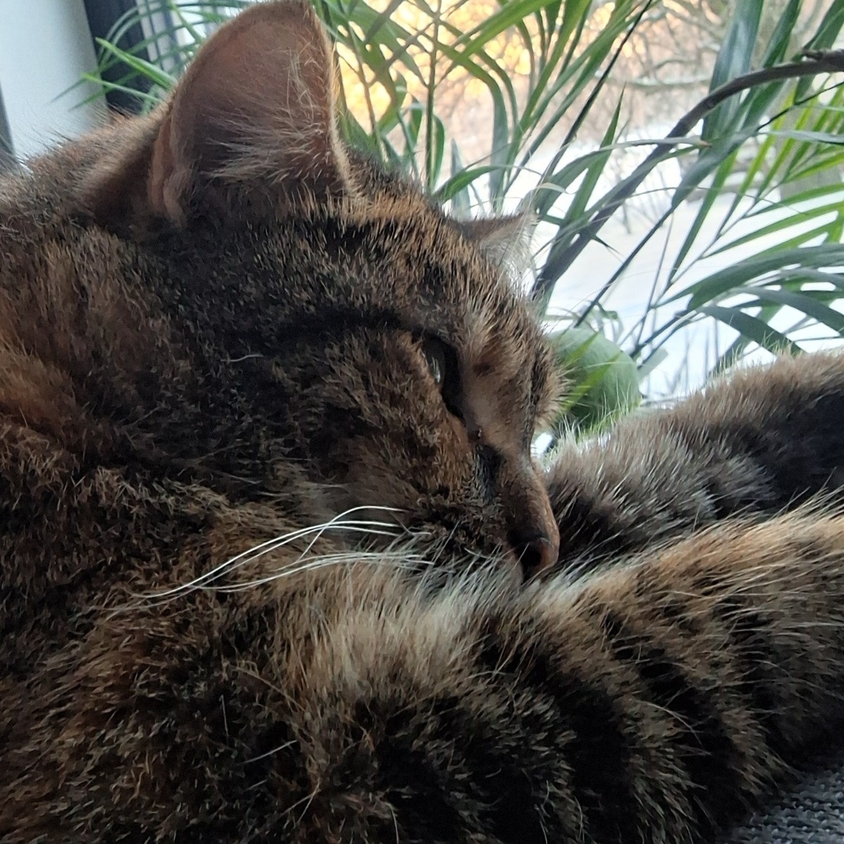 20612d67-c1ec-46ea-b103-6286f6ee5038