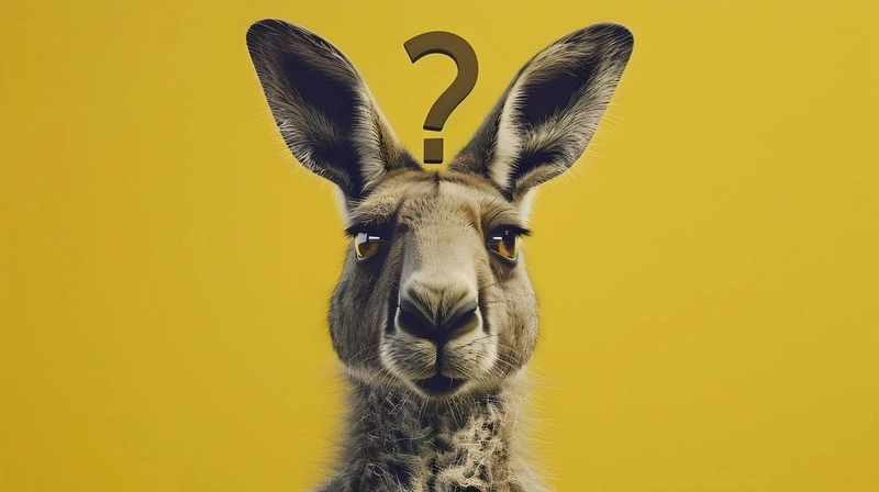 Dlaczego zabijasz muchę bez skrupułów, a psa ratujesz za wszelką cenę?