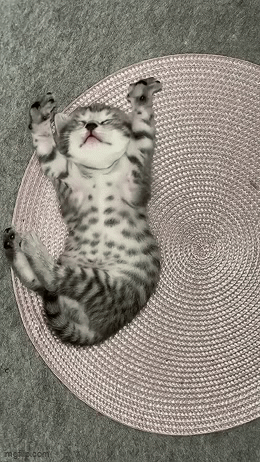 96006969-7ffa-4369-bae1-eda78f1c3c32