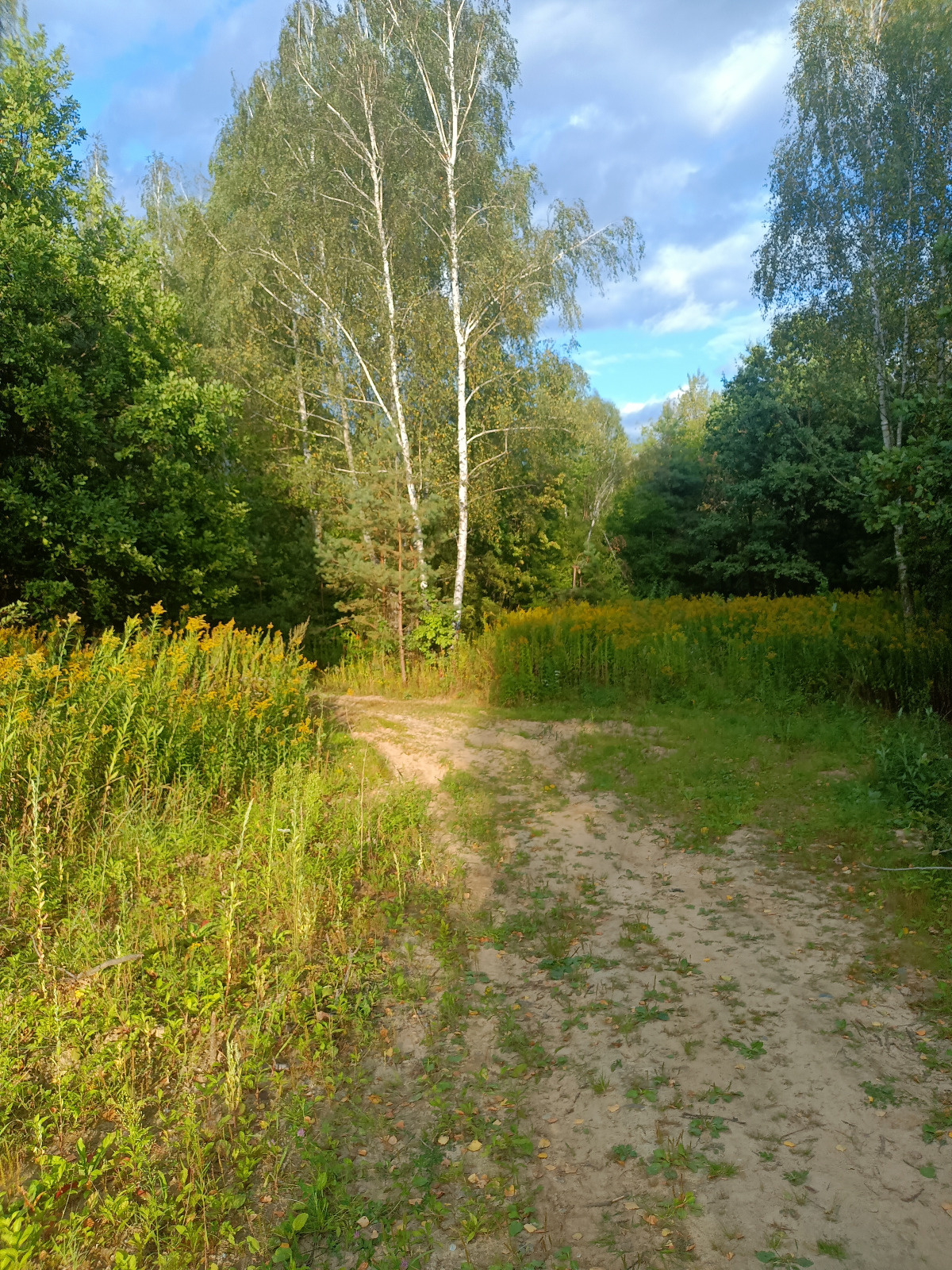 a0d71d8d-f204-4c2d-b01c-e5128dd8a5a6