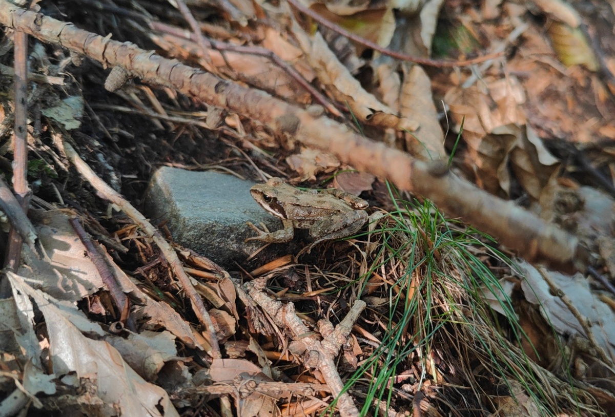 cc29f8fc-69c7-412e-9dc6-acfd226555b3