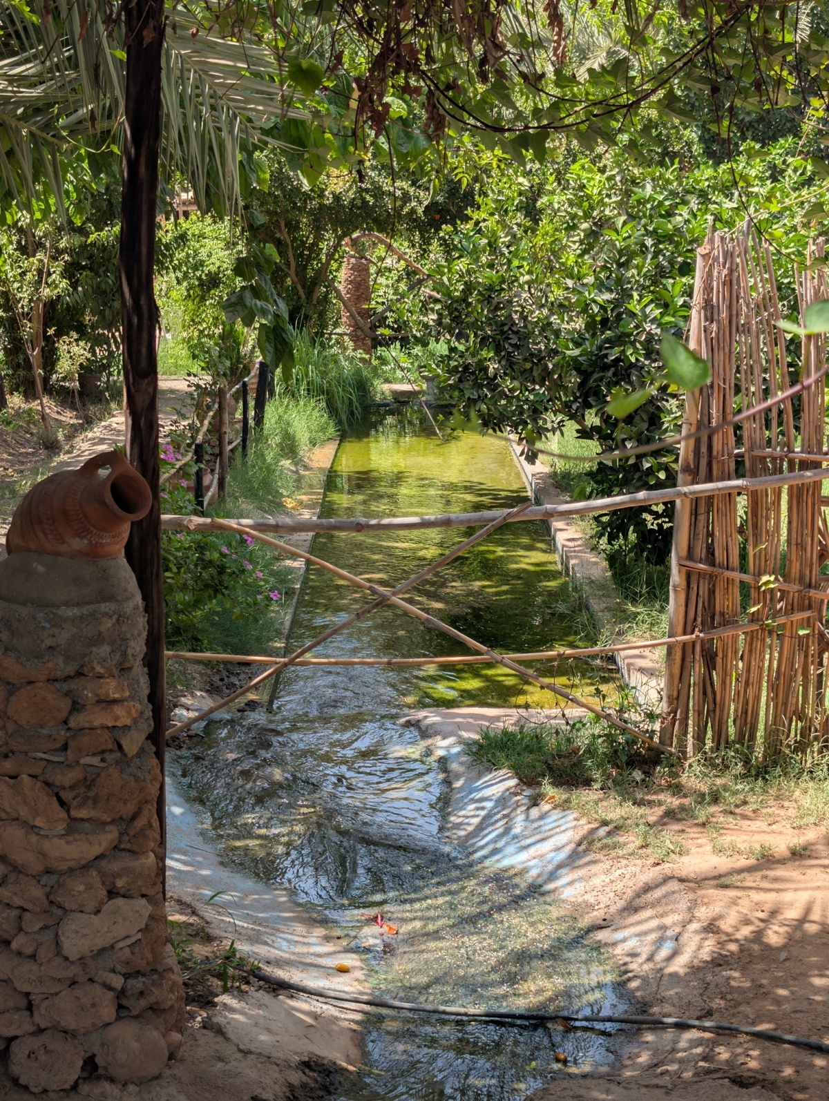 0a6feed4-514d-470d-8c3e-f3838ff93bb9