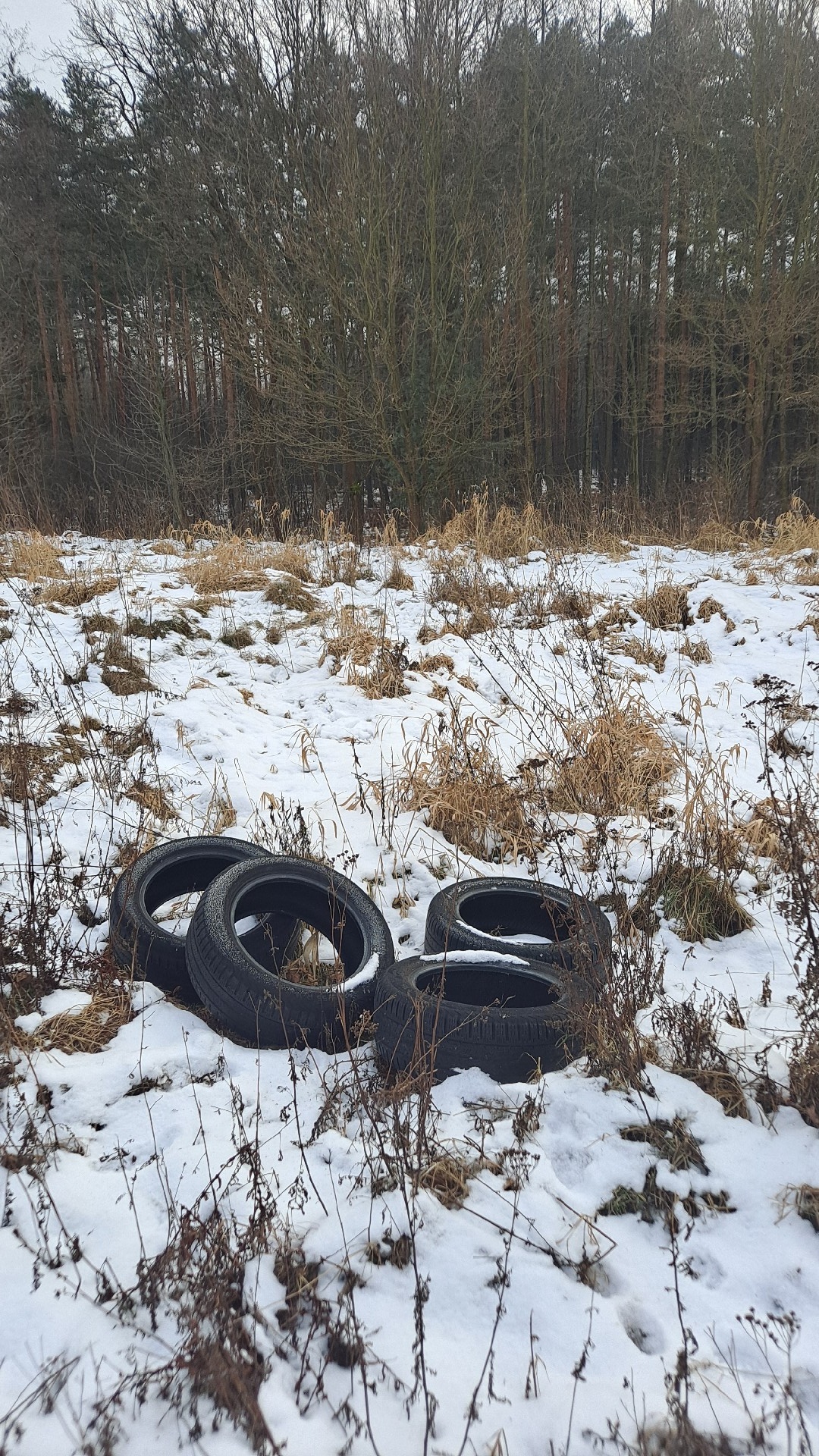 d3de309b-72c7-4dfe-824a-57f243b26cda