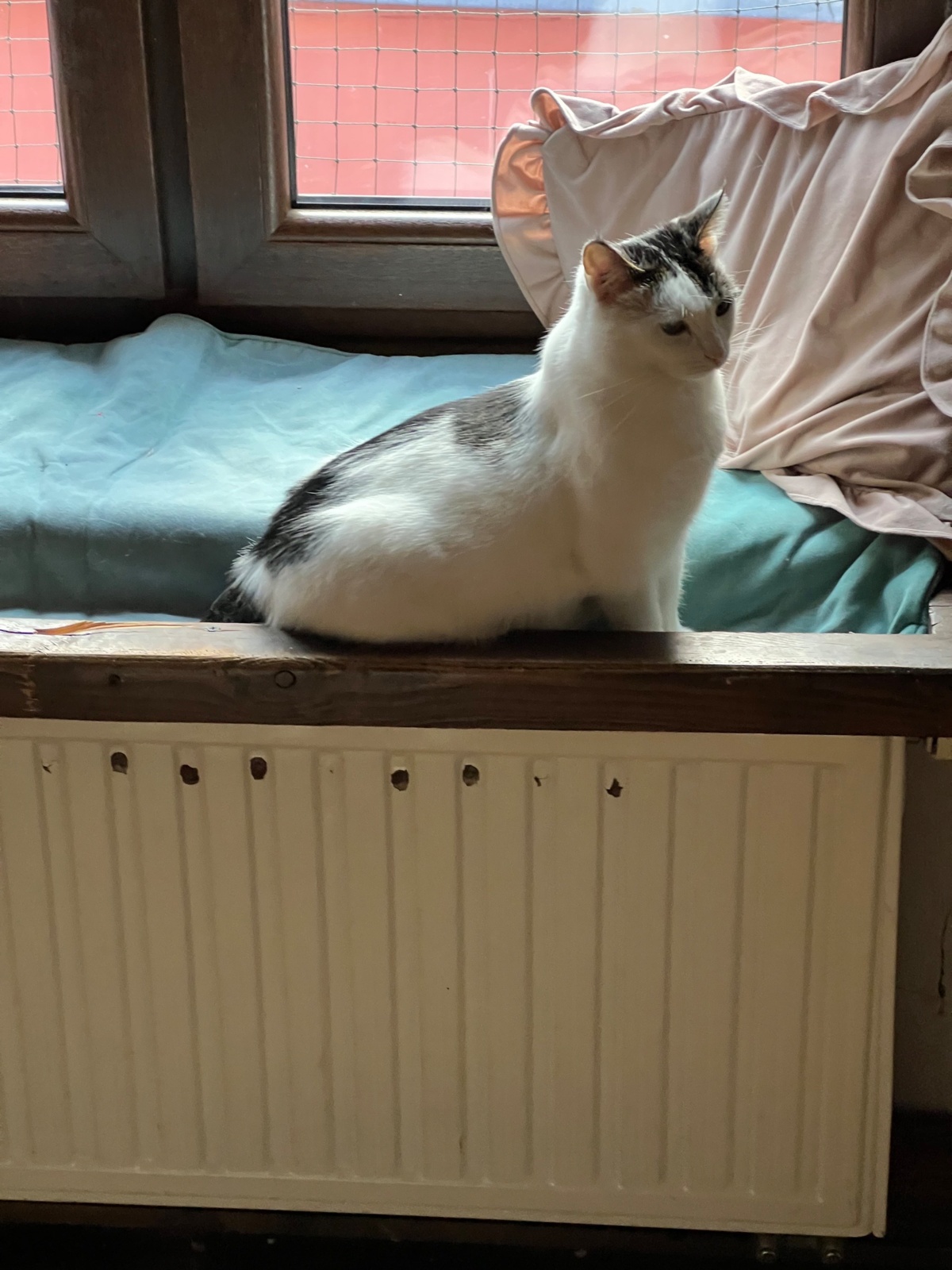 6bcb36f6-6328-49a8-a158-7d8fe39e639d