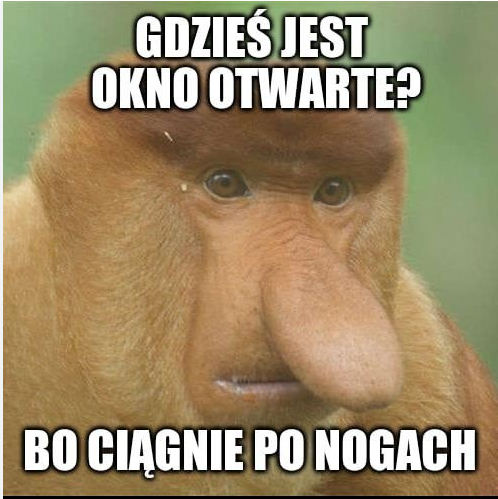 3d19cae1-3ea5-4779-a877-0d04a2488021