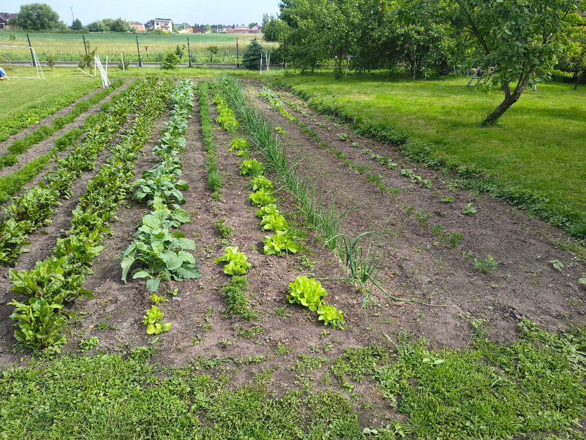 68191d84-8c8f-4bd0-9f1e-7a0a178b0dc2