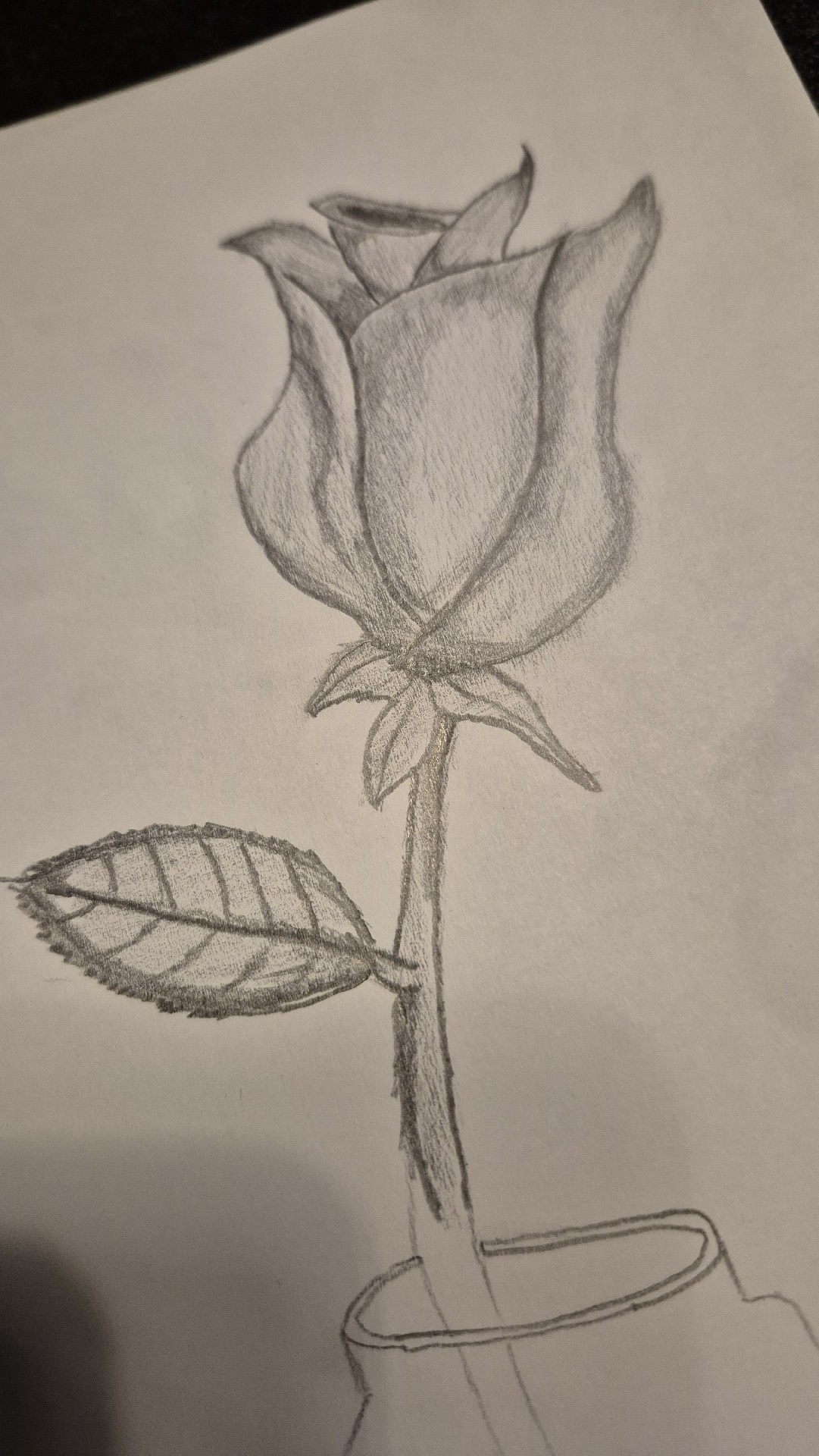 24b22844-ec6b-4a7b-8e53-f19149950db9