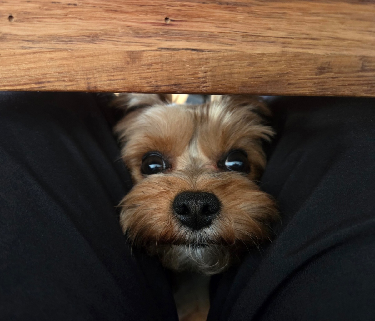 224f4d72-a1fc-4cd2-b2c3-a7fd0922c154