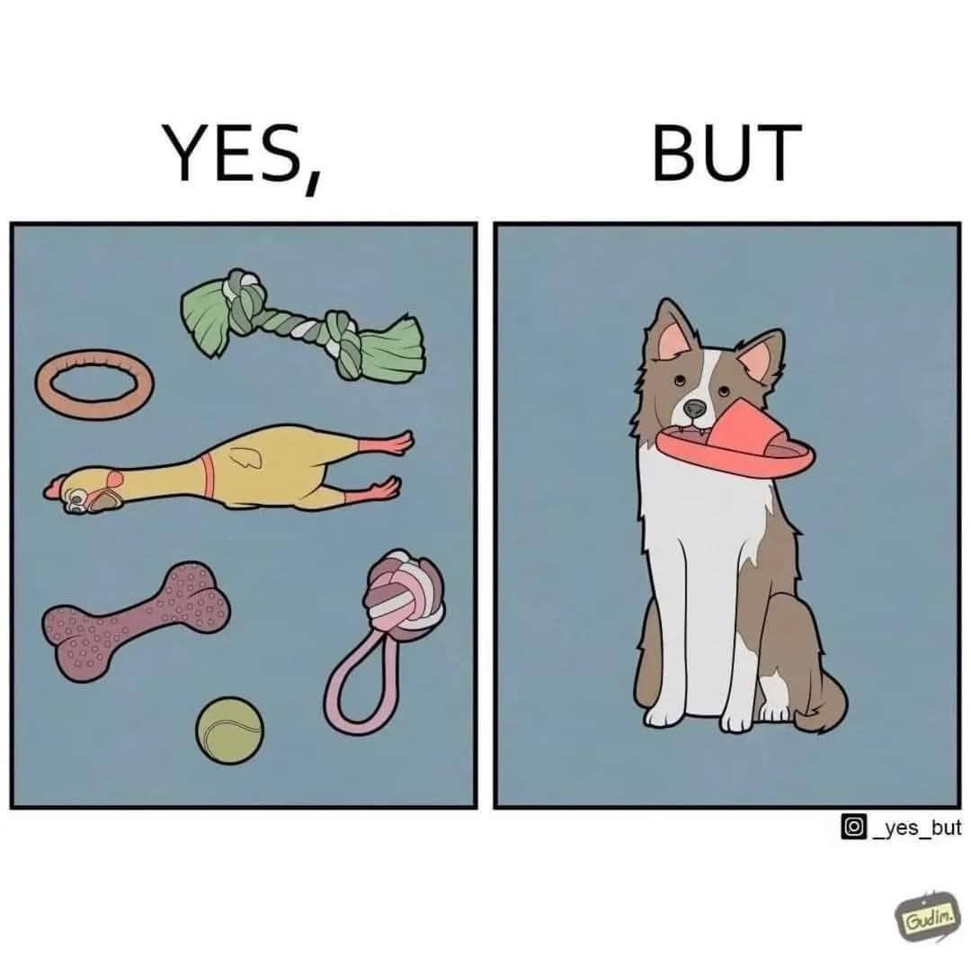 30f8107b-ca1d-4ffa-94b9-2ff80b3626e9