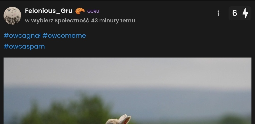 6df88046-068d-46b3-8e53-8cbfb3d345c8