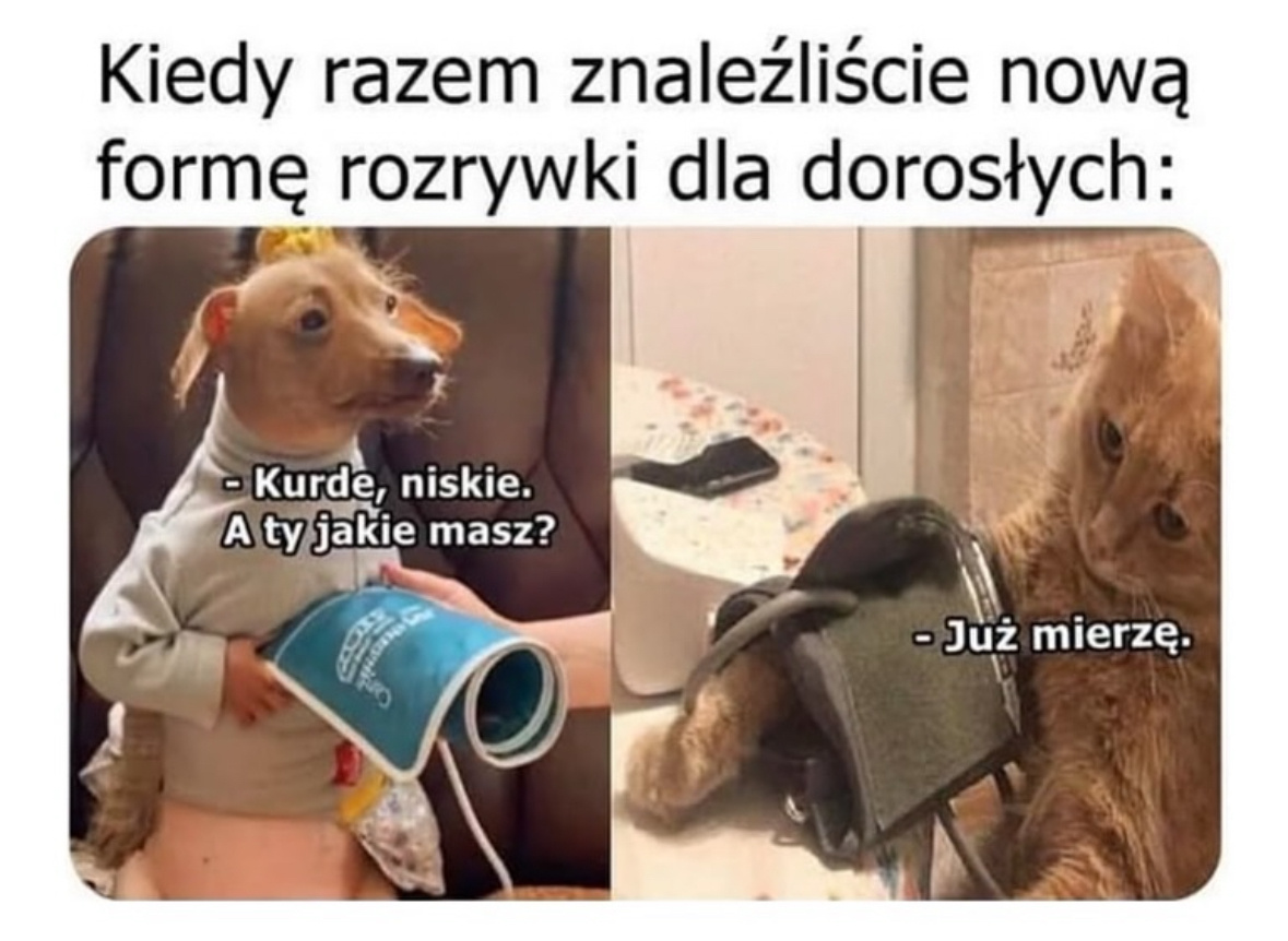 3832963c-23a4-426b-9aba-54df383cad7f