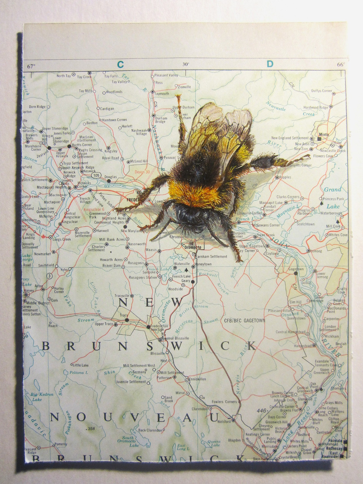 b4aeb09c-3547-43fa-956e-b0ff62e6d4d7