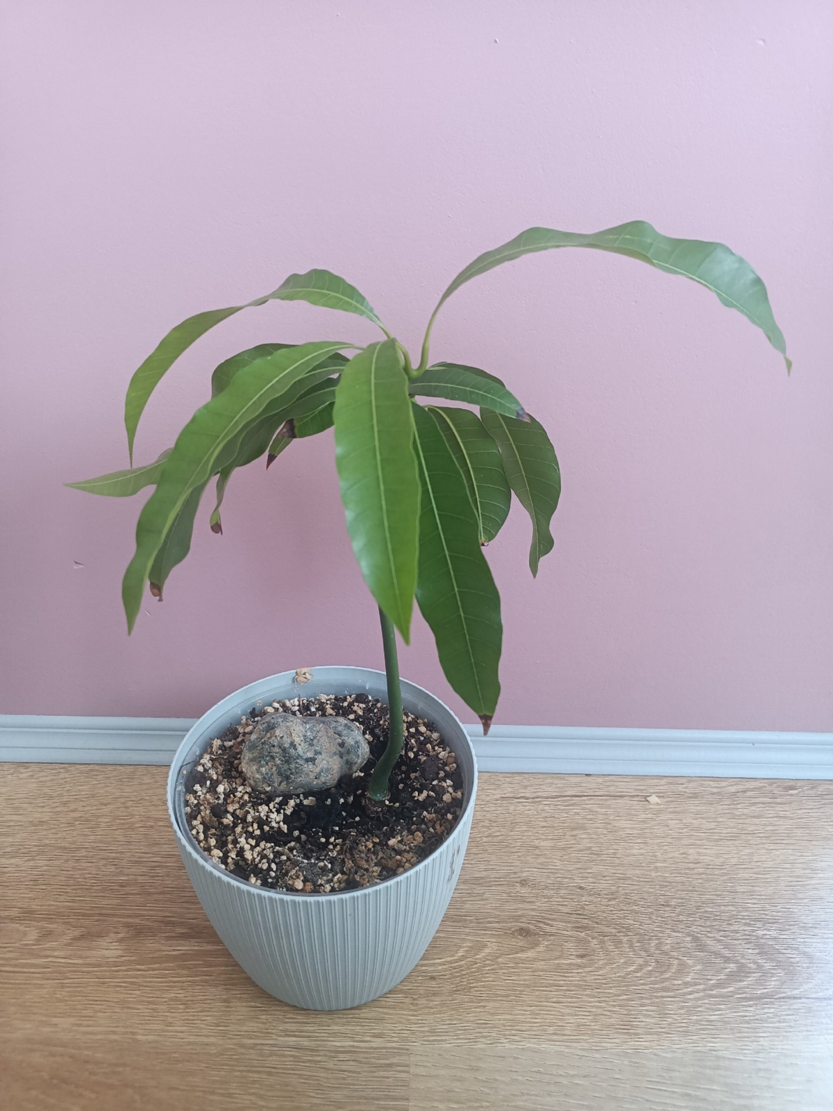 ed2992dd-cbc6-4d21-a32e-31a556eaf3e6