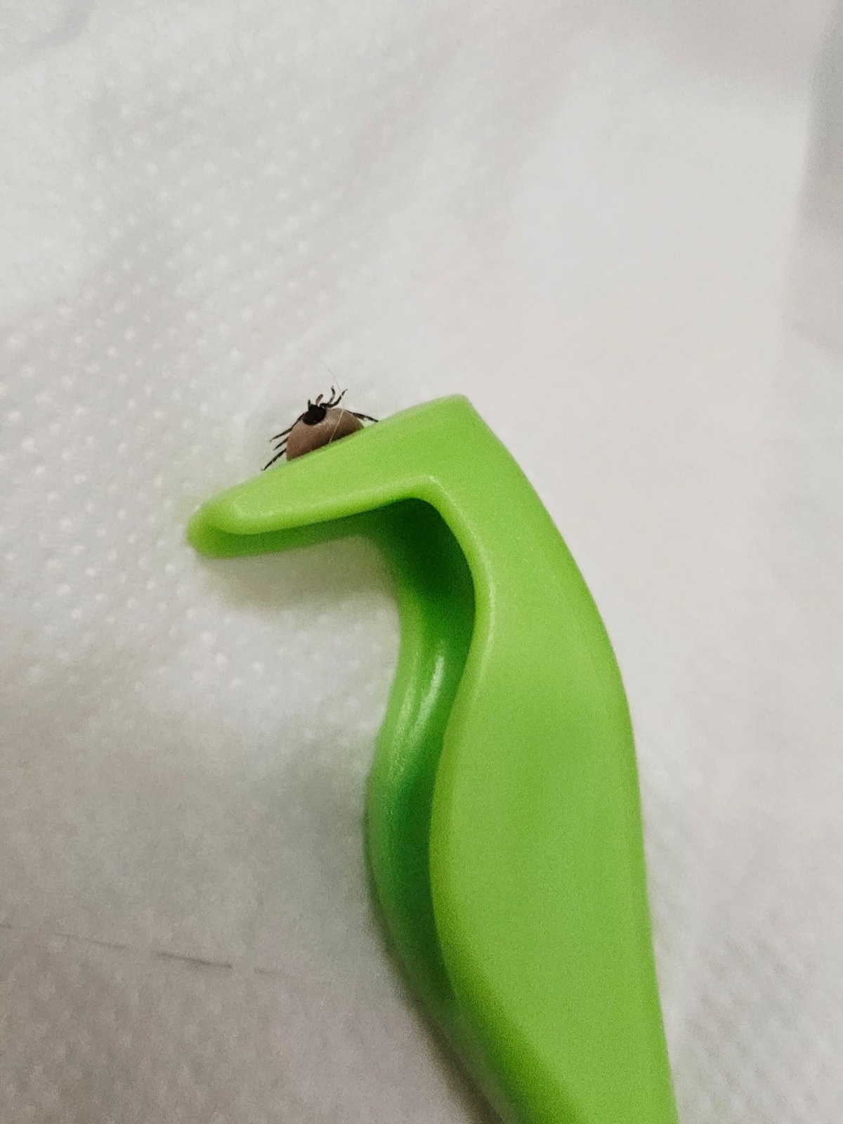 008c12fc-8988-467d-af5f-ae12b808c9d9