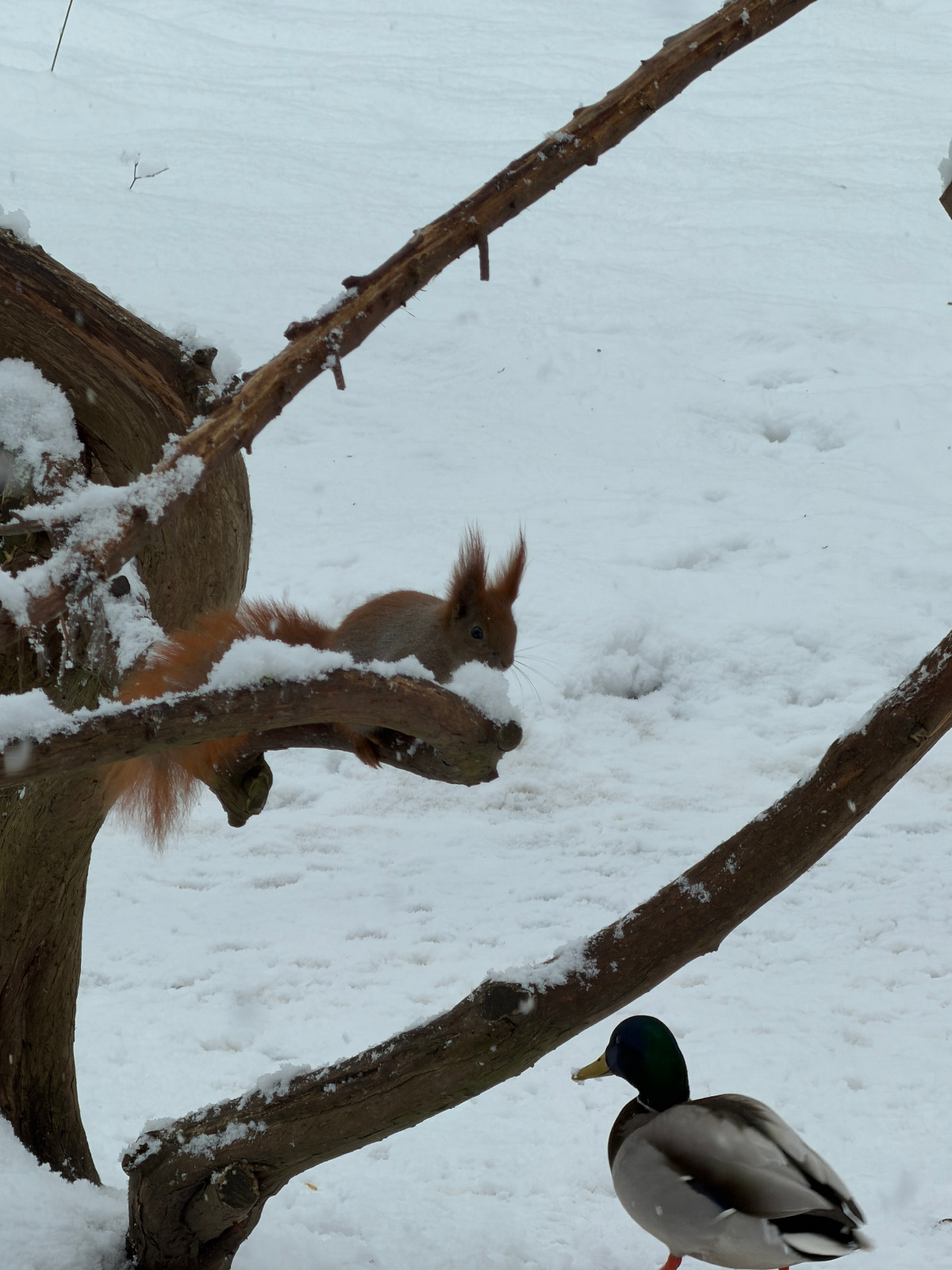 3593ca41-3b8e-4d8b-9998-8c769875f3b4