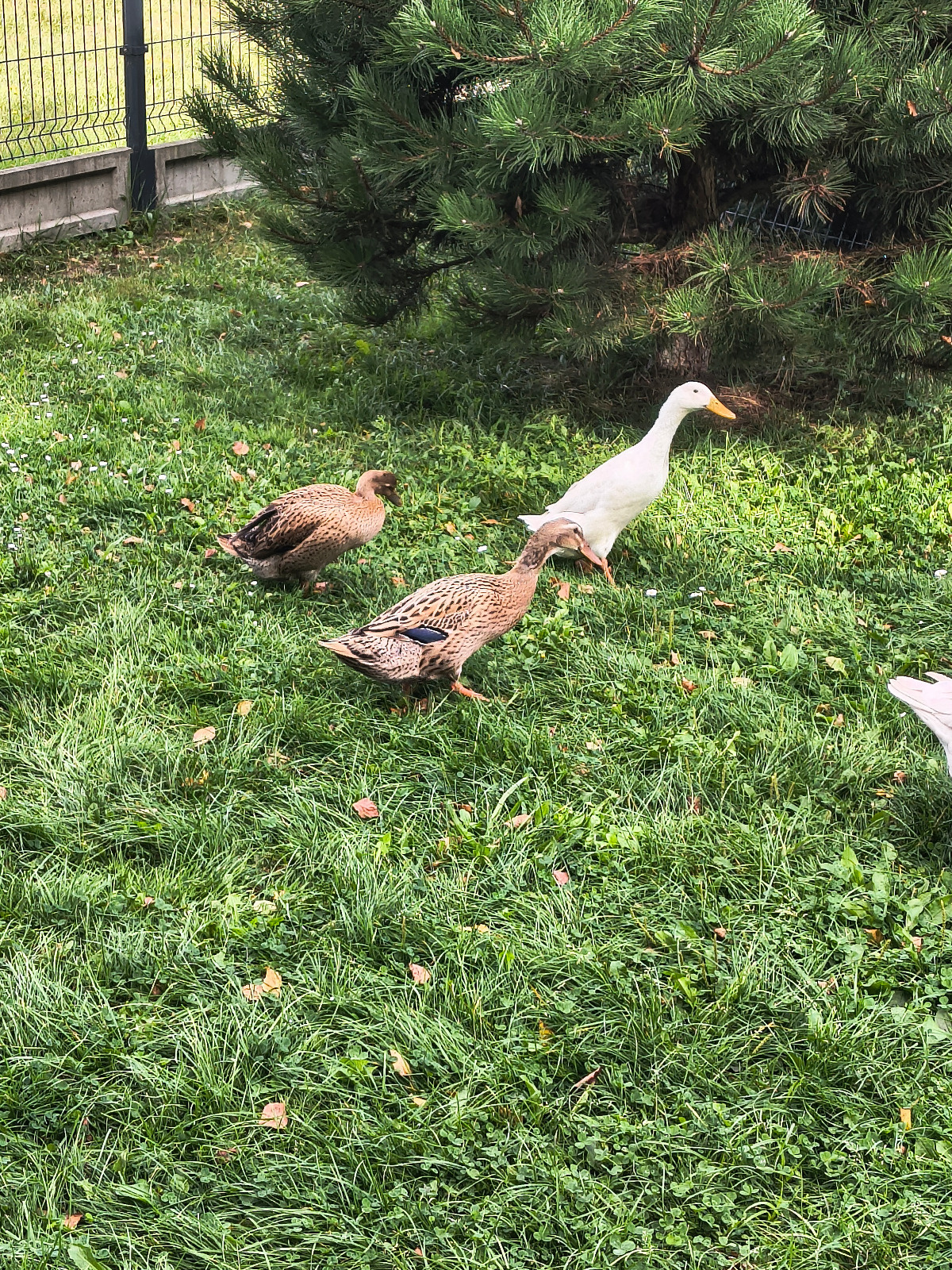 d4fe25a6-0841-4e63-9514-e2b08330d6c2