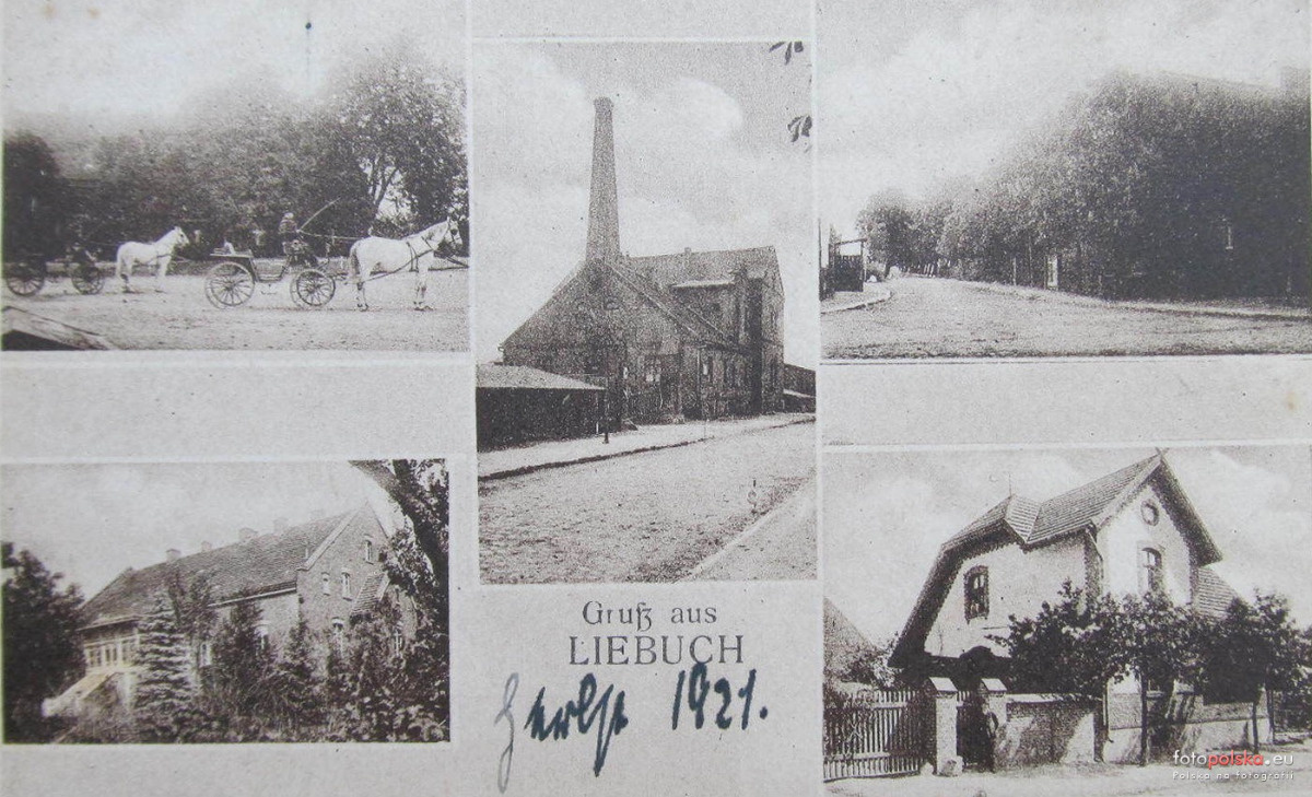 45431a8b-1616-4b2e-ad0b-8a513be00af8