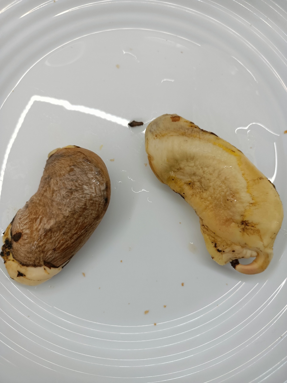 1b7422e9-d76f-40fb-8f1c-4cd282b8de59