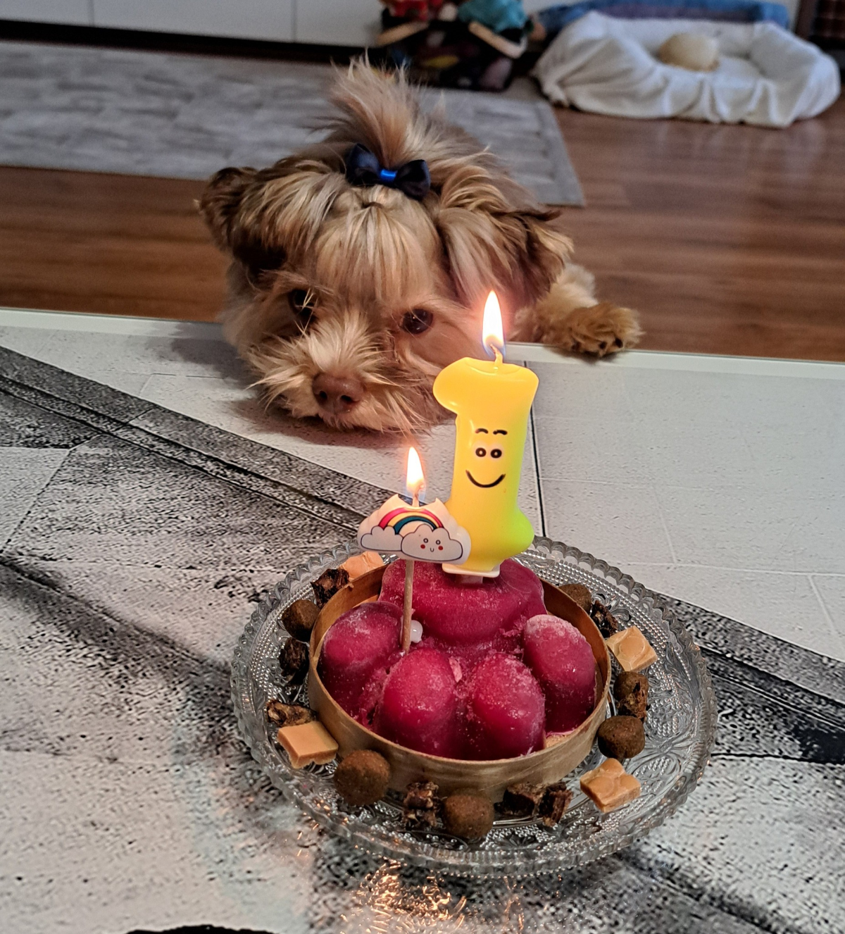 22b7cd55-5fc1-4e1d-b822-4dc4013c1da8