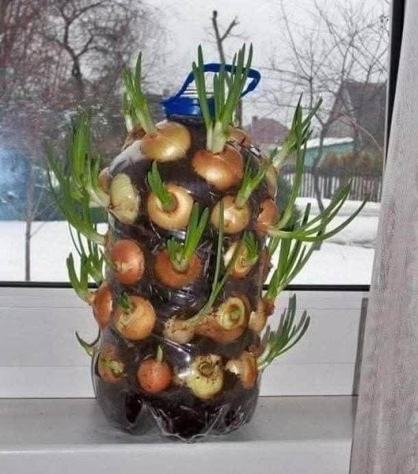 38aa82a6-7a0d-4fd9-9e11-8a743fd0f93e