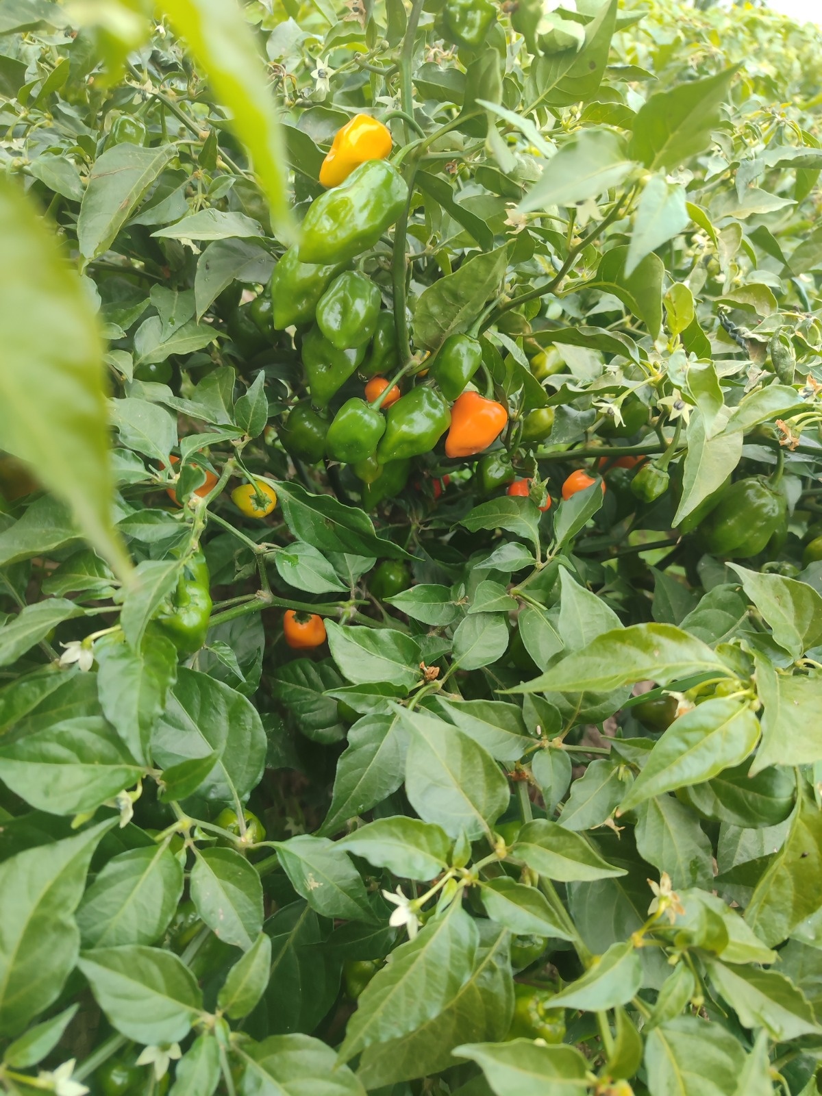 0230c6fc-76a5-4c64-bb82-f704102f2247