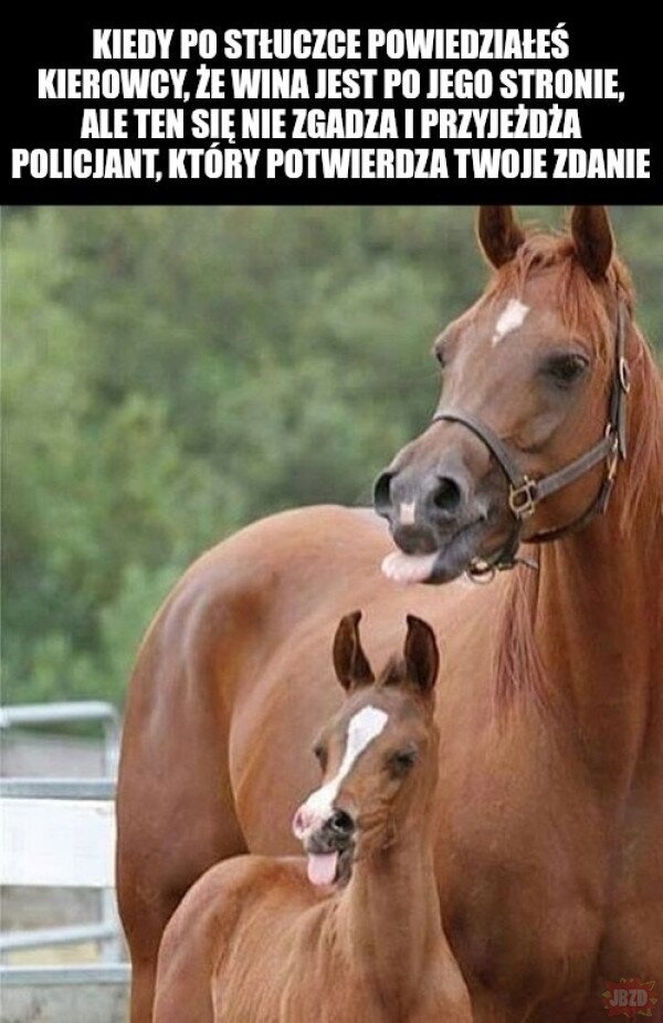 21a830a9-52ea-4cf7-953a-8de258dc3bb3