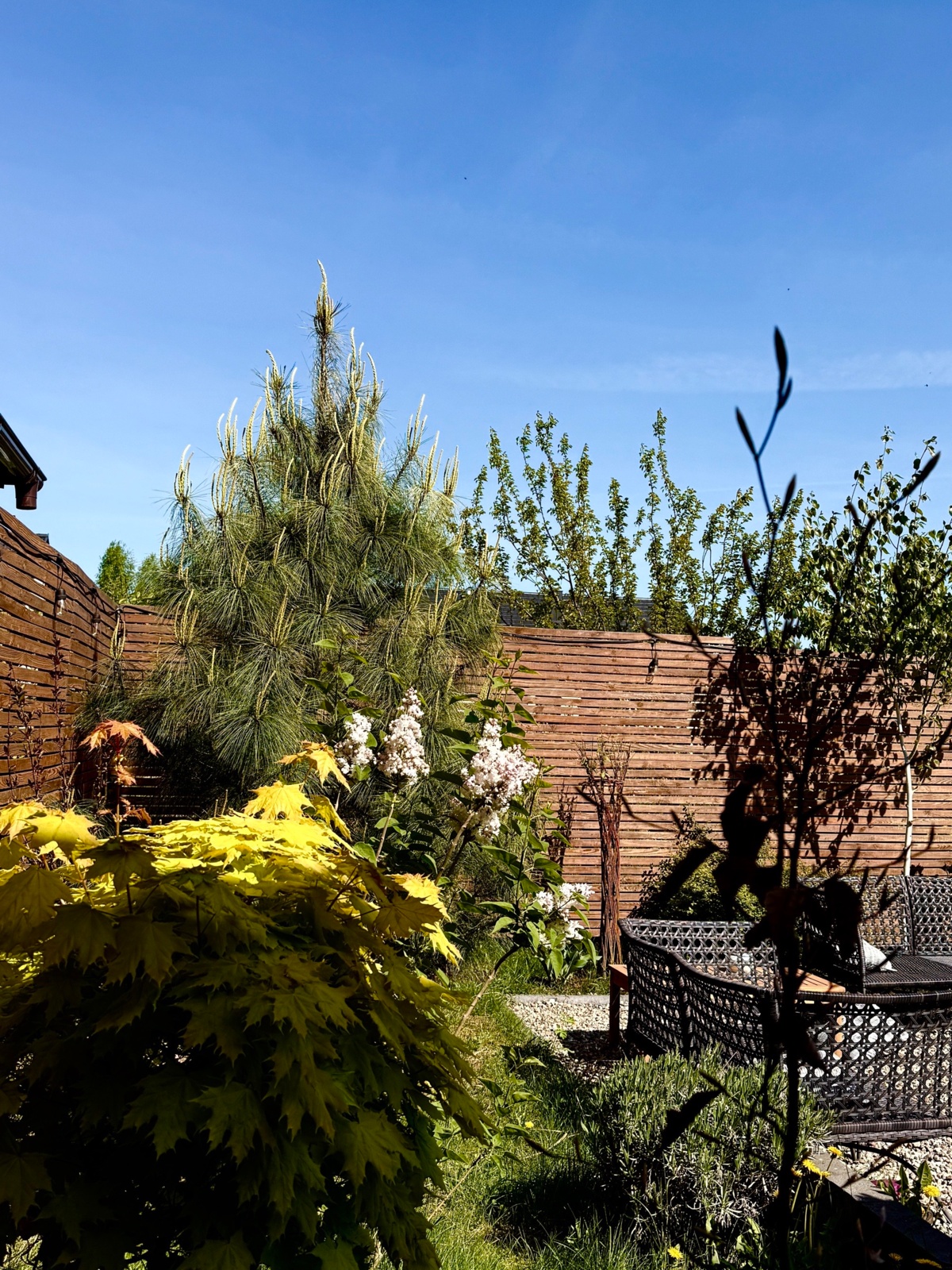 ab86581d-1ba0-4dbd-bba5-a6731dba48dd