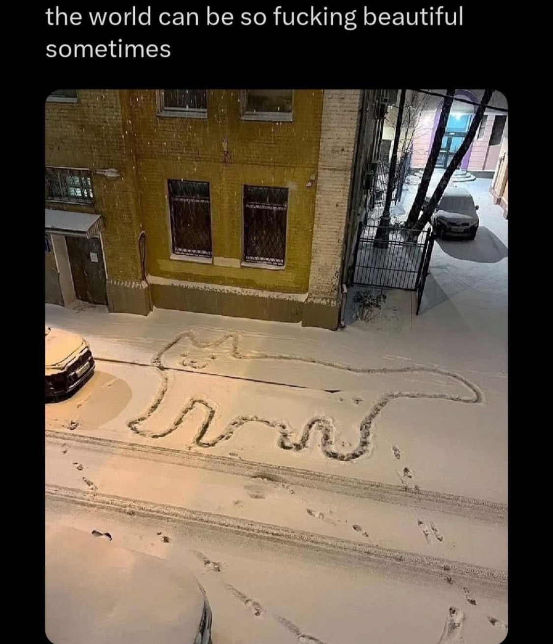 a1c56df8-3af0-4ce6-a69b-9a9d7d0895b6