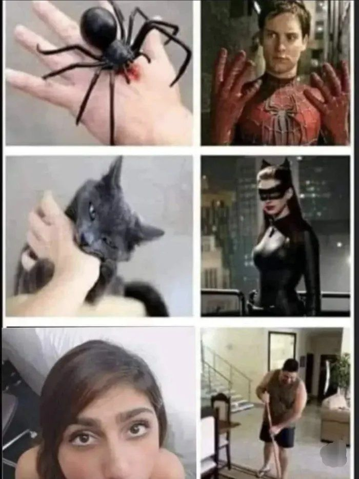 0112b86c-c034-43d5-bb0f-f42b182c1dd3