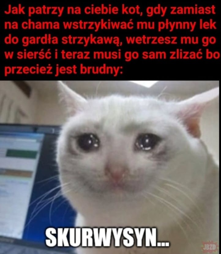 bcffe451-fd73-47a0-83be-cd09b9a3df1b